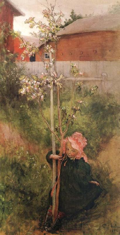 Carl Larsson Apple Blossoms